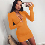 Load image into Gallery viewer, Women Winter Fall Bodycon Ribbed Dress Stand Collar Zipper Deep V-neck Solid Stretch Bodycon Pencil Party Mini Vestido
