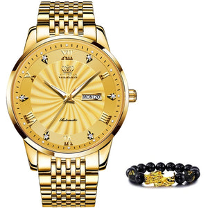Men Mechanical Watch Top Brand Luxury Automatic Watch Sport Stainless Steel Waterproof Watch