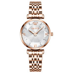 Load image into Gallery viewer, Women Luxury Jewel Quartz Watch Waterproof Stainless Steel Strap Watch Fashion Date Clock
